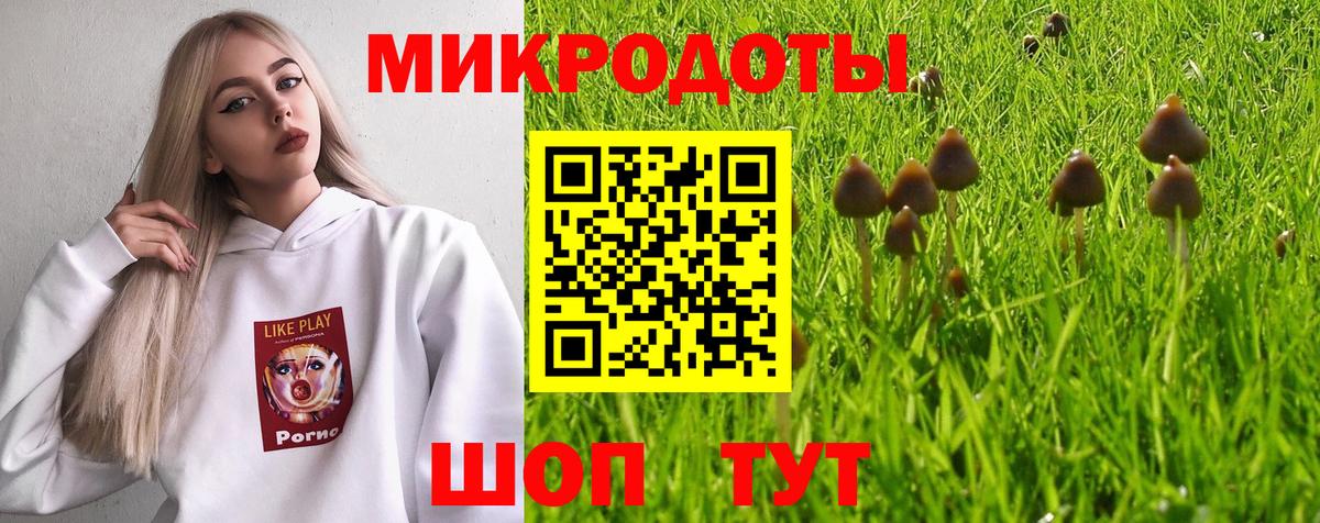 Псилоцибиновые грибы GOLDEN TEACHER  Галлюциногенные грибы Cubensis  Йошкар-Ола  Вход с VPN 