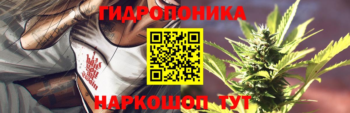 МАРИХУАНА ГИДРОПОН  Бошки Шишки AK-47  Йошкар-Ола  Вход с VPN  Бошки Шишки план 