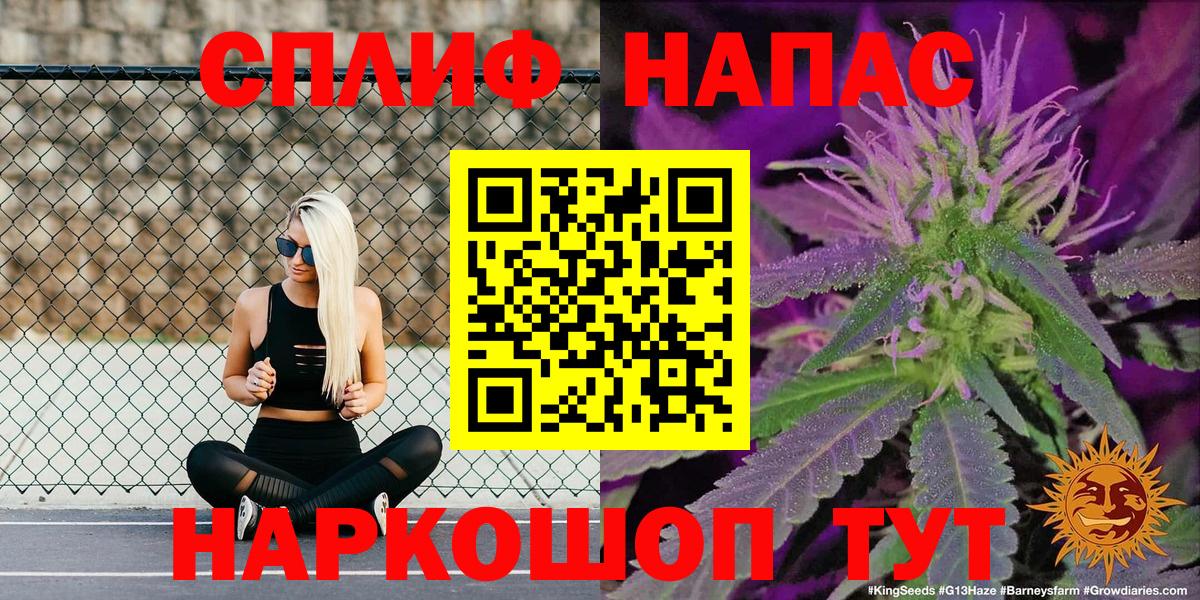 A PVP Йошкар-Ола